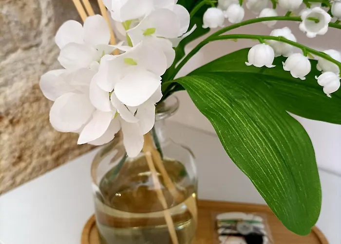 Mr White's House شقة *